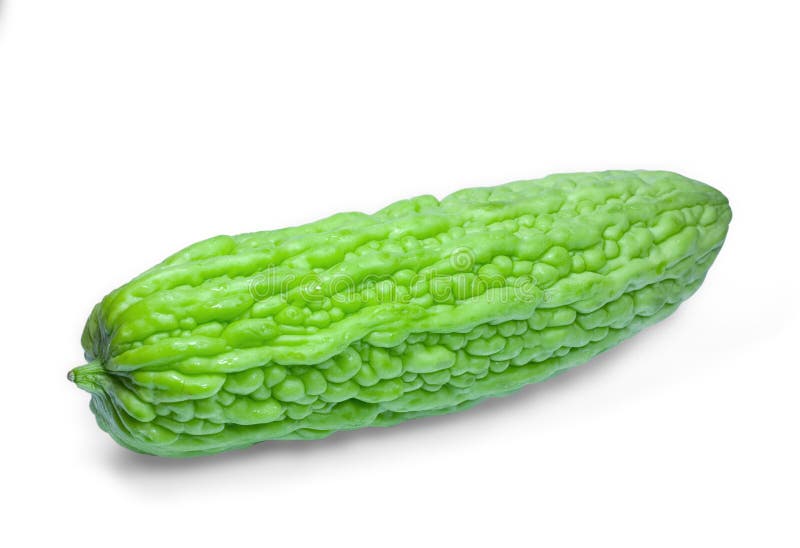 Pepene amar royalty free stock photography