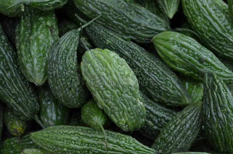 Pepene amar stock image