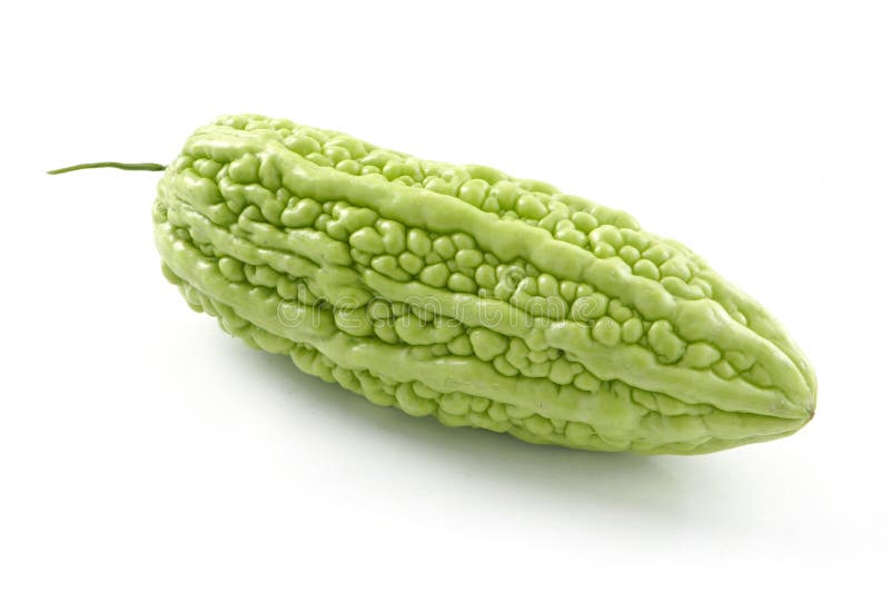 Pepene amar royalty free stock image