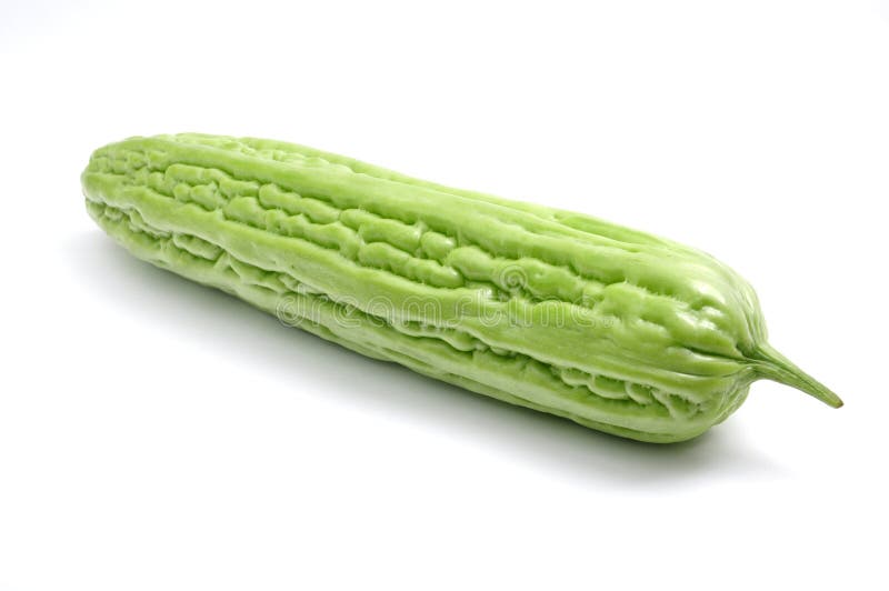 Pepene amărui royalty free stock image