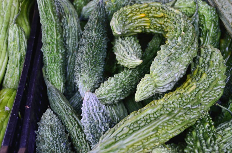 Pepene amărui stock photography