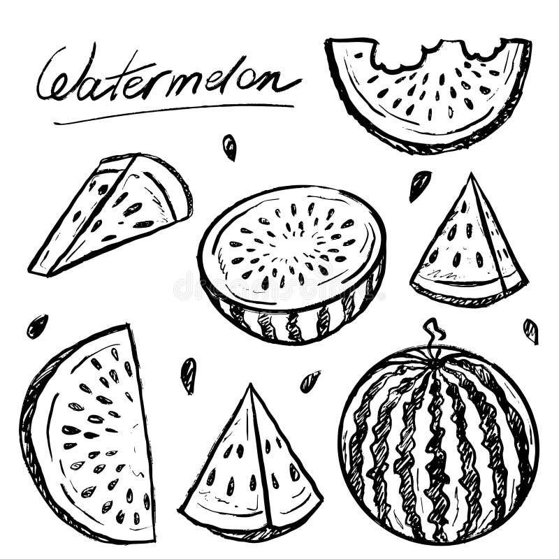 Pepene galben tăiat integral, cu semințe în textură tubulară neagră, izolate pe alb. Schiță vectorială desenată manual royalty free illustration