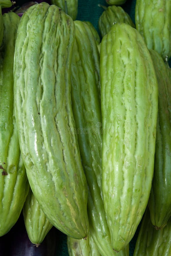 Pepene verde amar organic stock photography