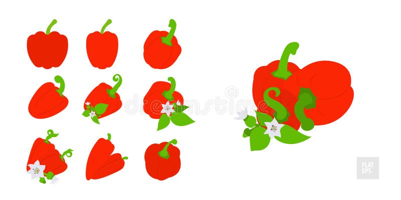 Peperoni dolci su un insieme bianco del fondo Stile piano molto semplice Vari peperoni in assortimento con le foglie, i germogli illustrazione di stock Peperoni dolci su un insieme bianco del fondo Stile piano molto semplice Vari peperoni in assortimento con le foglie, i germogli illustrazione di stock