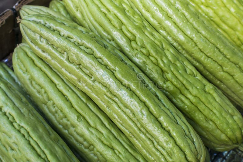 Amargo chino imagen de archivo. Imagen de nutrición, dieta 61118911