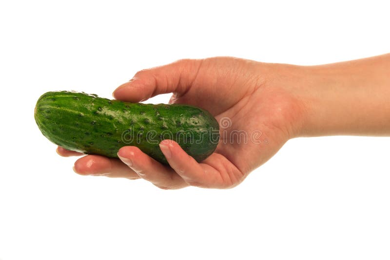 Pepino fresco à disposição imagens de stock