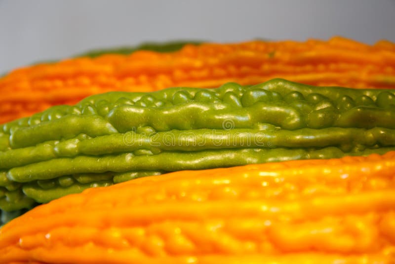 Pepino Genetically alterado Em poço! imagem de stock Pepino Genetically alterado Em poço! imagem de stock