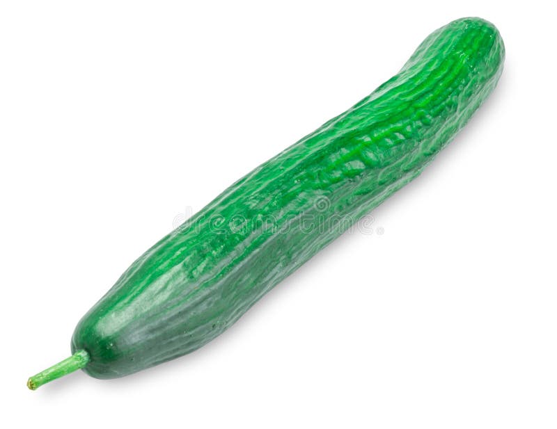 Pepino inteiro em um fundo branco imagem de stock royalty free Pepino inteiro em um fundo branco imagem de stock royalty free