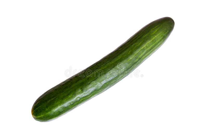 Green long cucumber isolated on white background close up. Green long cucumber isolated on white background close up