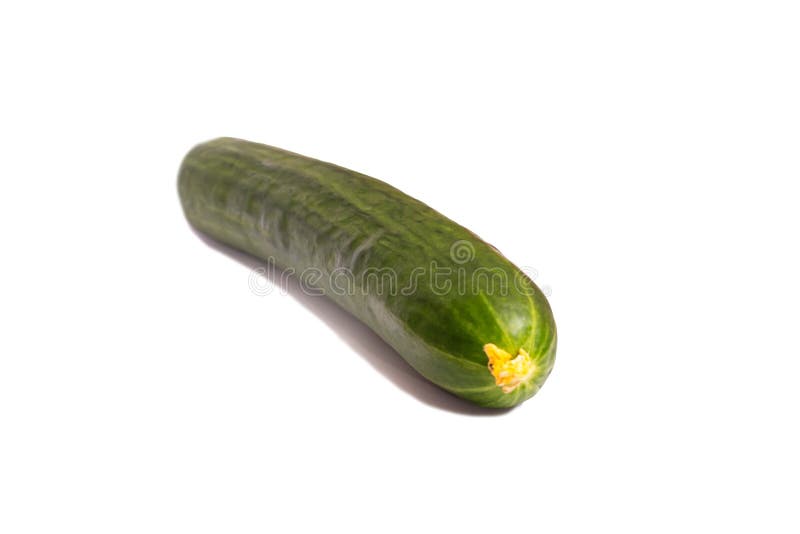 Green long cucumber isolated on white background close up. Green long cucumber isolated on white background close up