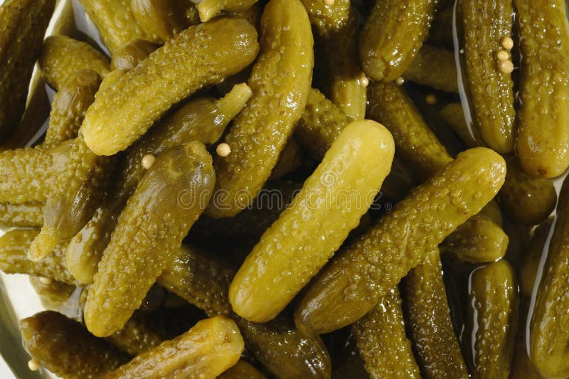 Pepinos conservados imagens de stock royalty free Pepinos conservados imagens de stock royalty free