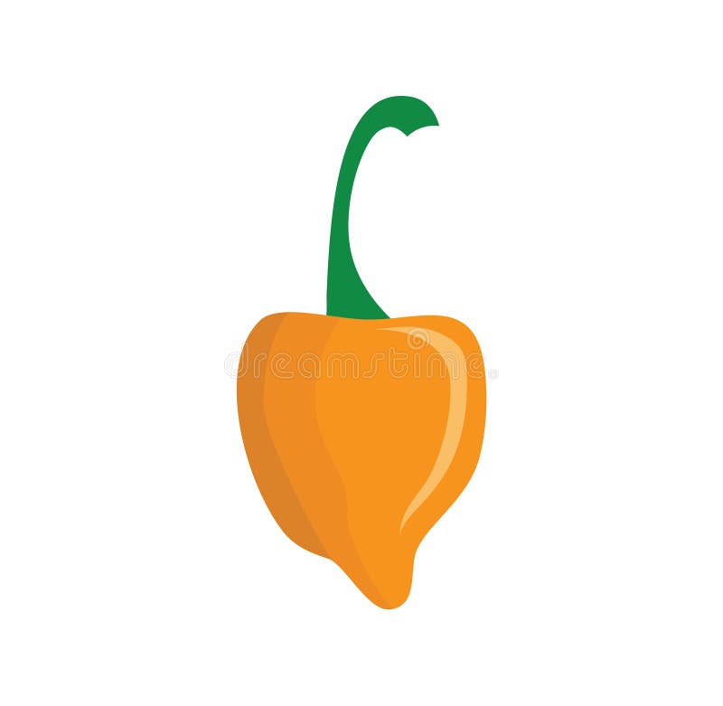 A Habanero Pepper Design Illustration Stock Vector Illustration of