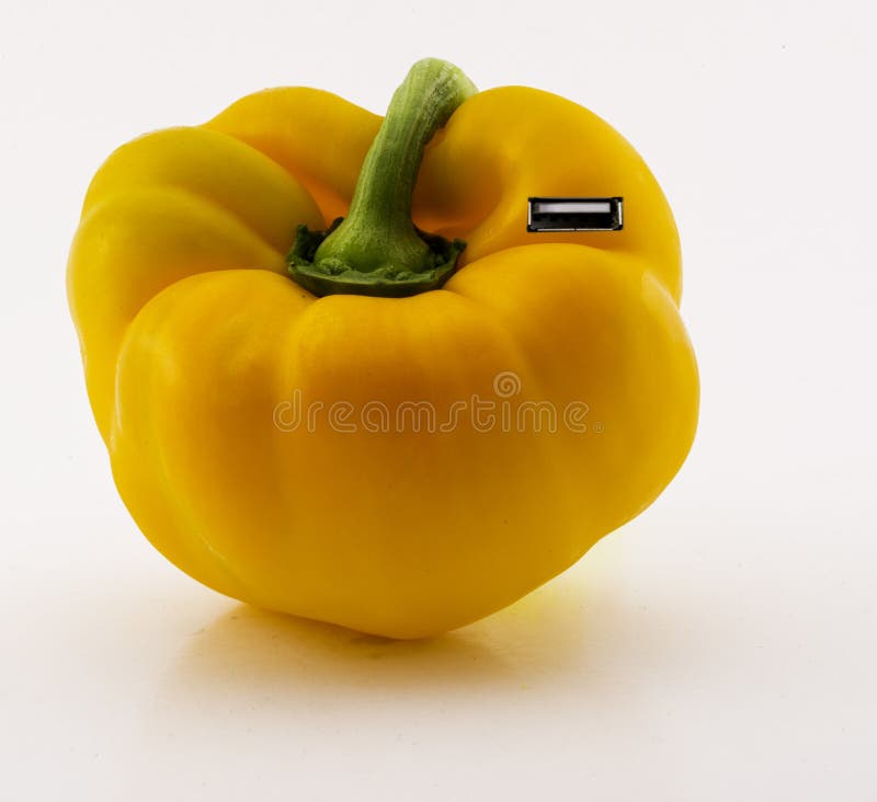 Pepper and evolution stock image. Image of computer, healthy 43403953