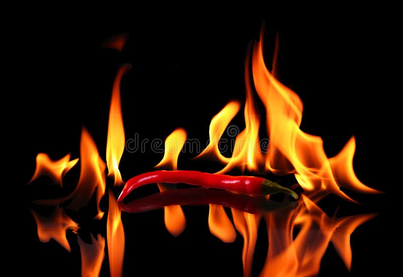 Pepper with Flame on Black Background Stock Image Image of food
