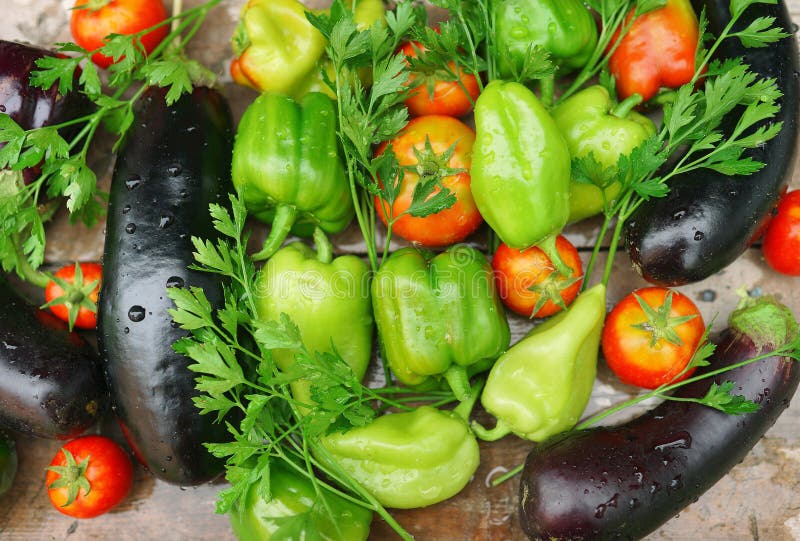 Pepper, Green, Tomatoes on Table. View Point from Above. Season Vegetables. Summer Time Stock
