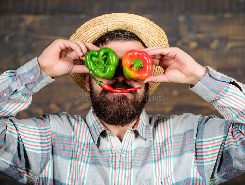 Pepper harvest concept. Farmer having fun wooden background. Man hold pepper harvest as funny emotional grimace. Chilli