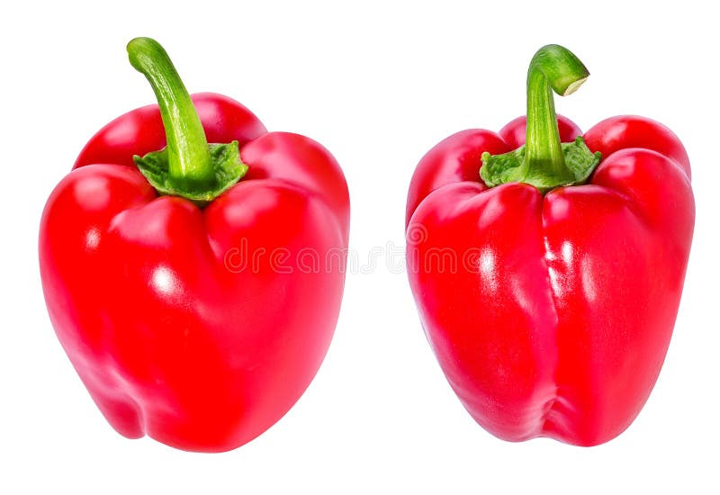 Pepper Isolated. Red Bell Pepper Stock Image Image of freshness