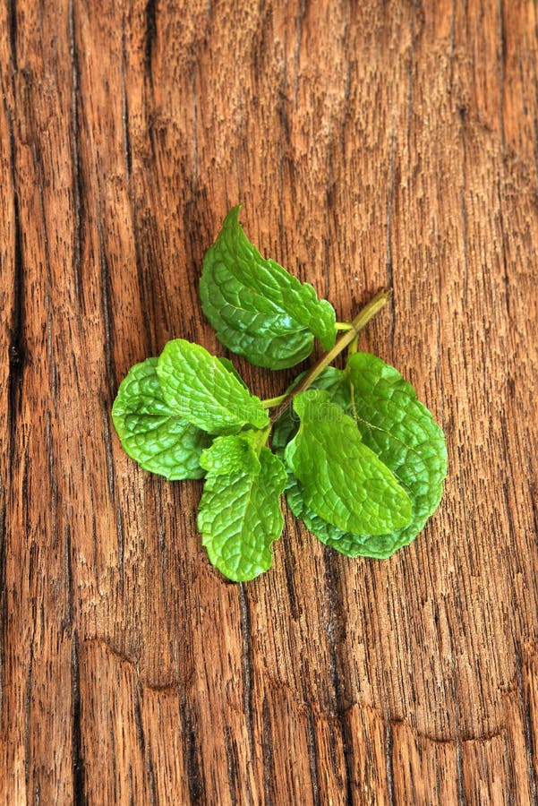 Pepper mint stock image. Image of fragrance, garden, menthol 38503389