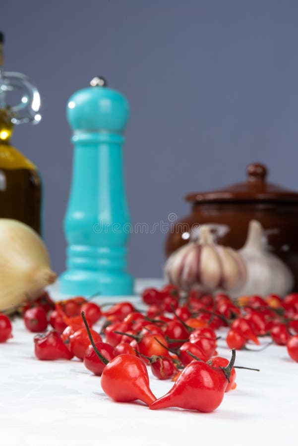 Pepper, Olive Oil, Garlic and Onion, Composition with Spices and Accessories, with Light