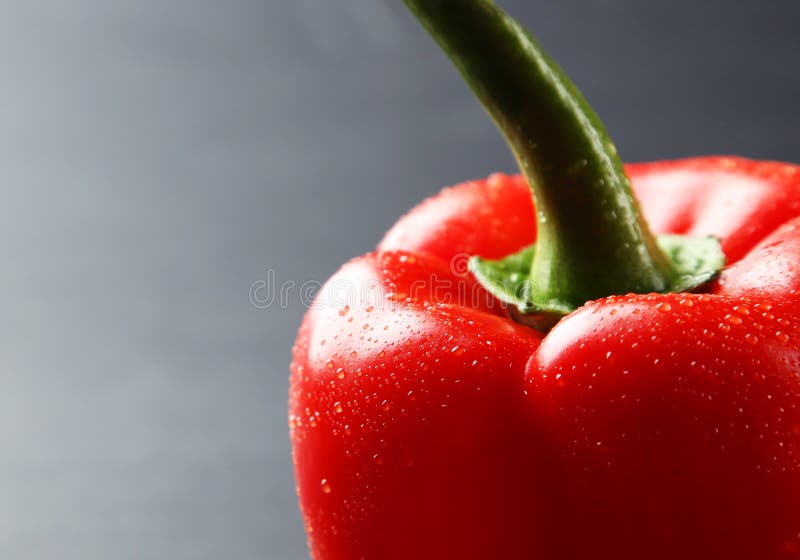 Pepper stock photo. Image of drops, capsicum, drop, dieting 57708924