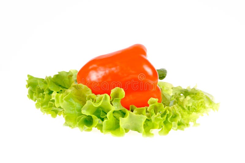 Pepper and salad leaf