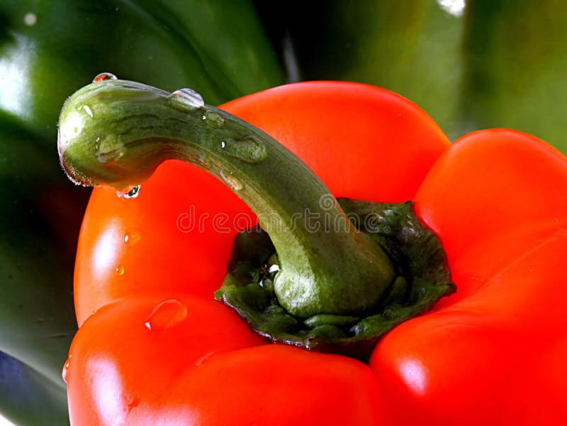 Pepper Stem With Water Drops