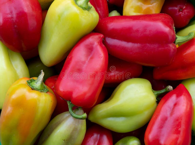 Pepper Texture Background. Bell Pepper. Sweet Pepper Pattern. Paprika