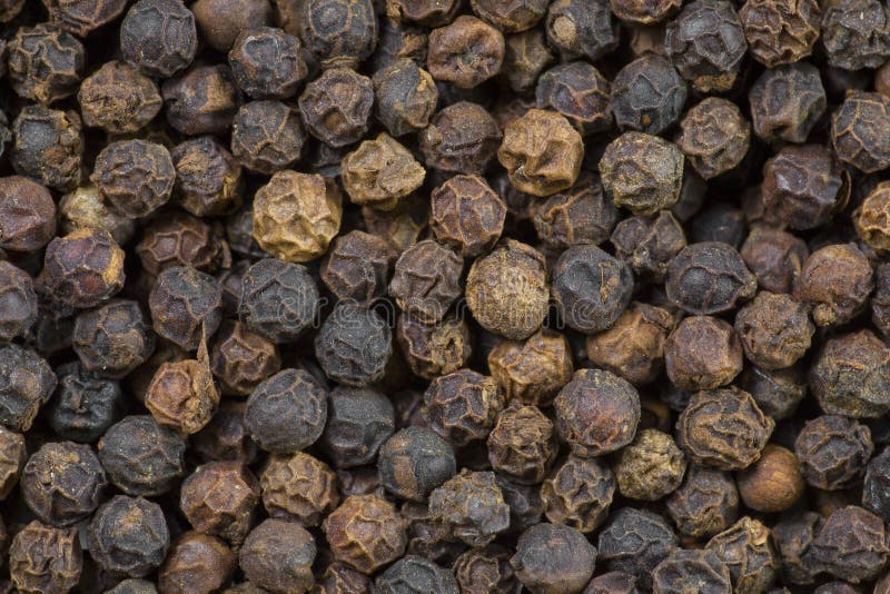 Peppercorn Macro stock image. Image of group, leaven, flavor 7889245