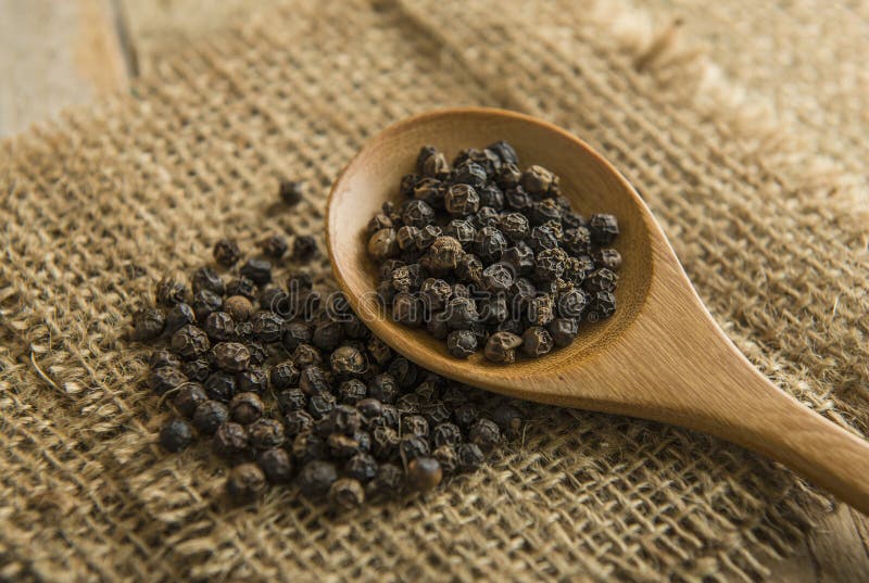 Peppercorn stock photo. Image of peppercorn, spice, gourmet 81703742