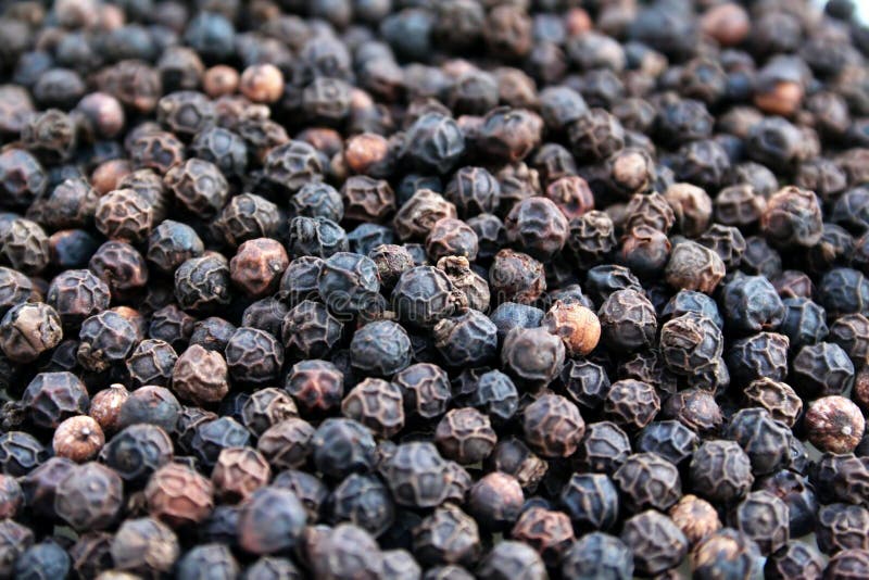 Peppercorns stock image. Image of ingredients, peppercorns 10803891