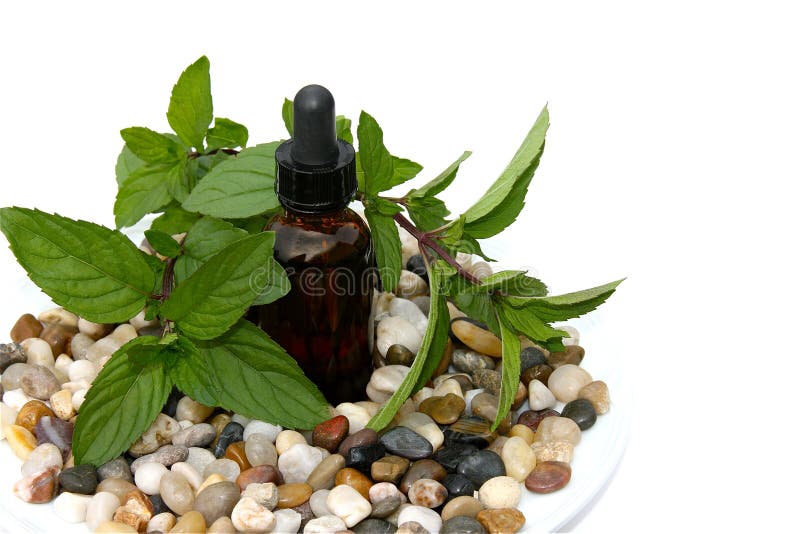 Peppermint Aromatherapy royalty free stock photo