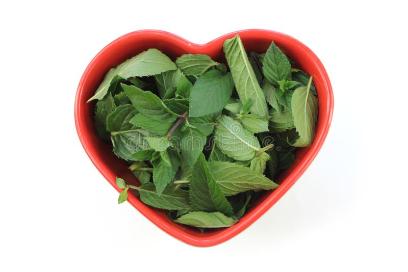 Peppermint, Mint Leaves in a Circle Stock Photo Image of aroma, herbs