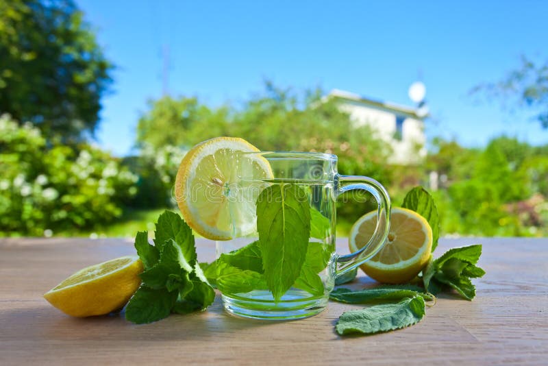 Peppermint tea with lemon stock photo. Image of glass 55604146