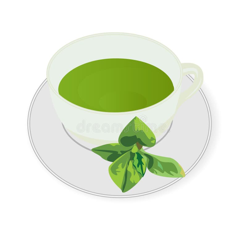 Peppermint tea stock vector. Illustration of label, blend 16717932