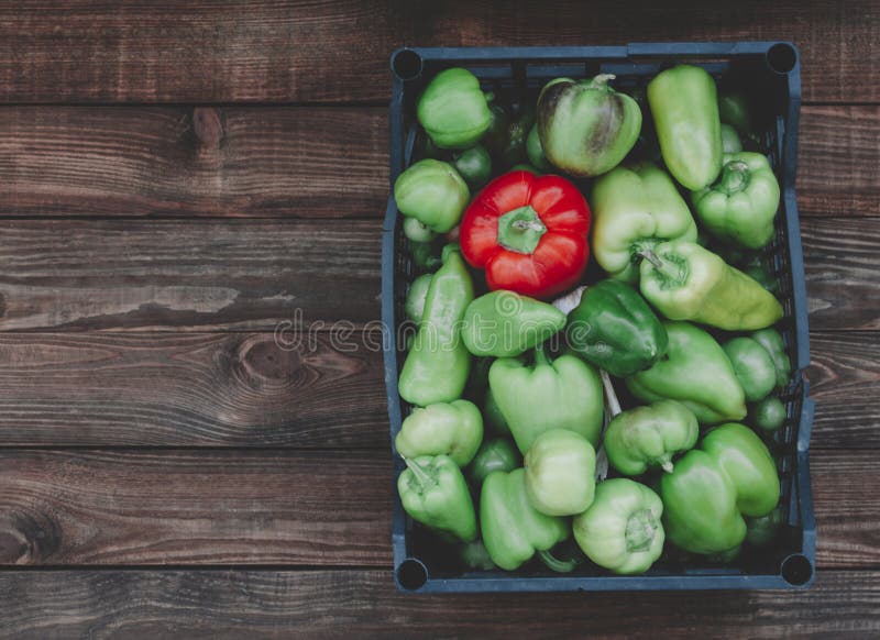 Peppers in Box stock image. Image of freshness, colorful 92160295