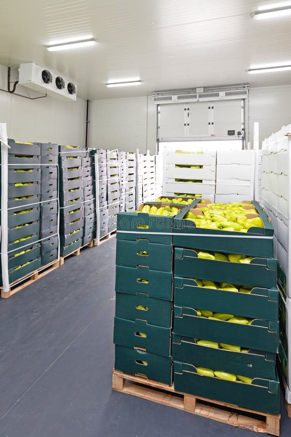 Peppers Cold Storage royalty free stock images