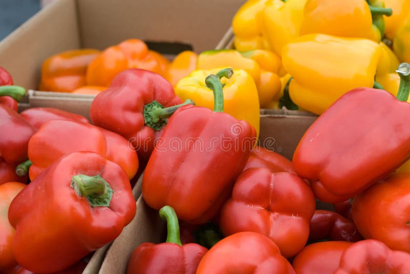 Peppers at the Farmer s Market