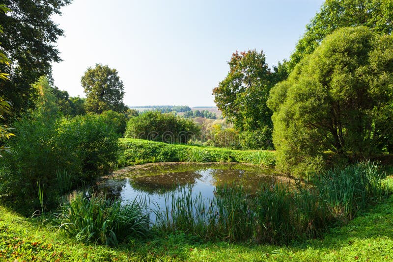pequeño estanque en el jardín como elemento de diseño paisajístico.  10077777 Foto de stock en Vecteezy