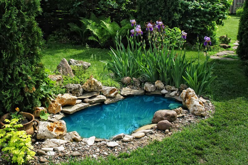 pequeño estanque en el jardín como elemento de diseño paisajístico.  10077777 Foto de stock en Vecteezy