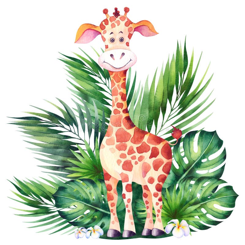 Pequeña Jirafa De Dibujos Animados Y Hojas Tropicales Verdes. Foto de archivo - Imagen de tarjeta, poco: 187509066 Pequeña Jirafa De Dibujos Animados Y Hojas Tropicales Verdes. Foto de archivo - Imagen de tarjeta, poco: 187509066