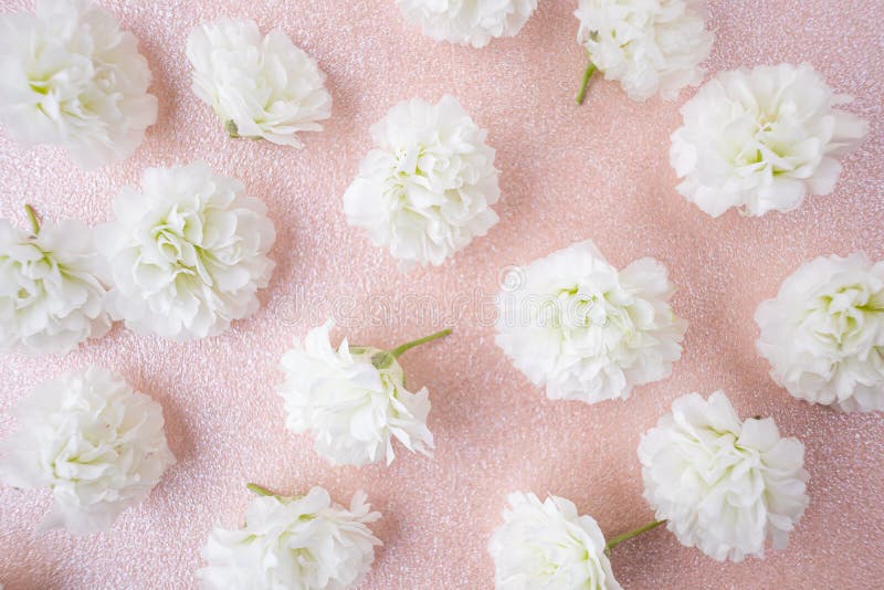Pequeñas Y Elegantes Flores Blancas De Gypsophila En Un Fondo Pastel Foto de archivo - Imagen de brillante, banderas: 168652122 Pequeñas Y Elegantes Flores Blancas De Gypsophila En Un Fondo Pastel Foto de archivo - Imagen de brillante, banderas: 168652122