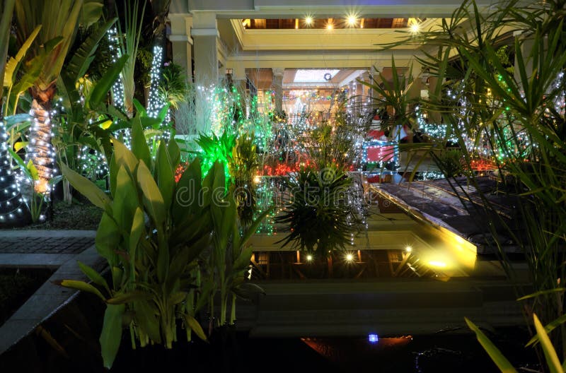 Pequeño Jardín Urbano Tropical Imagen de archivo - Imagen de dirección