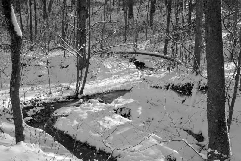 Pequeña corriente en nieve del invierno imagen de archivo Pequeña corriente en nieve del invierno imagen de archivo