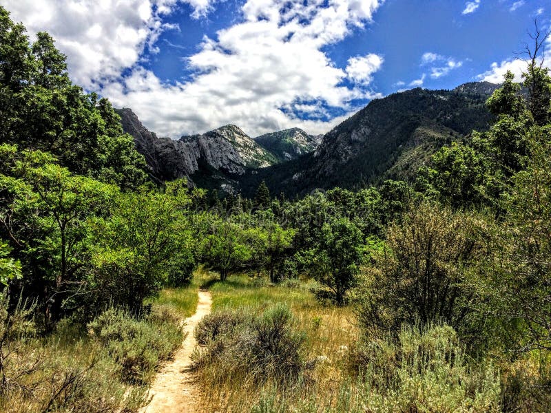 Pequeña pista de senderismo del barranco del Cottonwood hacia las montañas de Wasatch imagen de archivo libre de regalías Pequeña pista de senderismo del barranco del Cottonwood hacia las montañas de Wasatch imagen de archivo libre de regalías