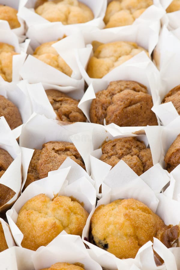 Lots of freshly baked small muffins cakes in rows. Lots of freshly baked small muffins cakes in rows