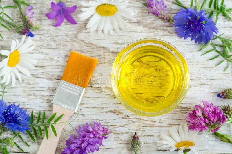 Pequeño bol de vidrio con aceite cosmético del aroma con los extractos de las flores Ingredientes del cosmético natural imagenes de archivo Pequeño bol de vidrio con aceite cosmético del aroma con los extractos de las flores Ingredientes del cosmético natural imagenes de archivo