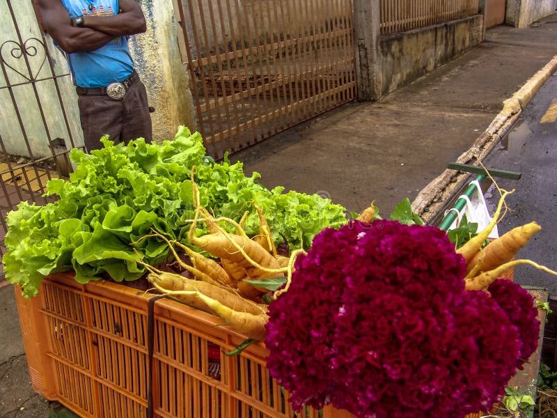 Pequeño granjero con venta de las verduras imágenes de archivo libres de regalías Pequeño granjero con venta de las verduras imágenes de archivo libres de regalías