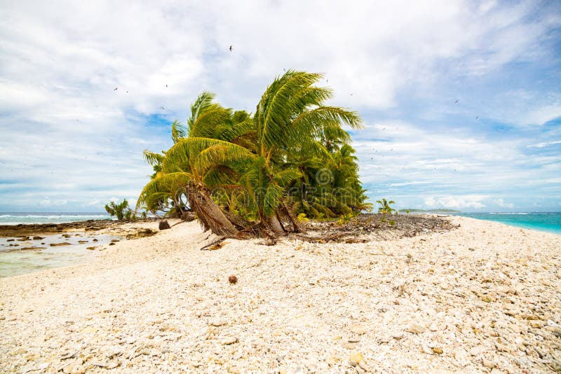 Pequeño motu tropical remoto de la isla demasiado grande para su edad con las palmas azul foto de archivo libre de regalías Pequeño motu tropical remoto de la isla demasiado grande para su edad con las palmas azul foto de archivo libre de regalías