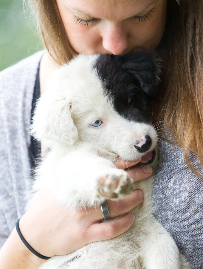 Pequeño perrito del border collie con el ojo azul en los brazos de una mujer fotos de archivo Pequeño perrito del border collie con el ojo azul en los brazos de una mujer fotos de archivo