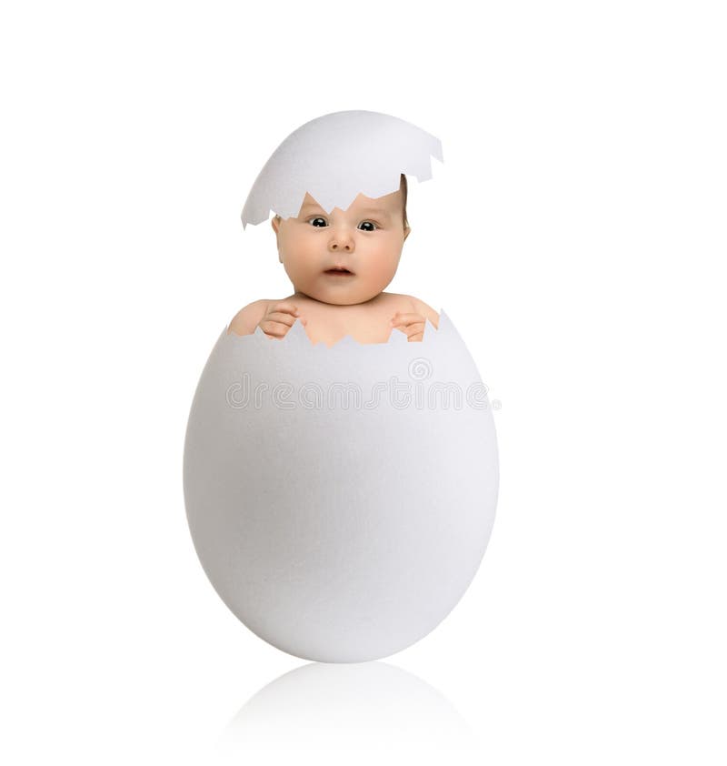 One white egg with newborn baby, on grey background, hatching. One white egg with newborn baby, on grey background, hatching